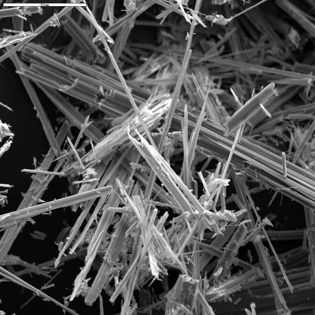 magnified anthophyllite asbestos fibers